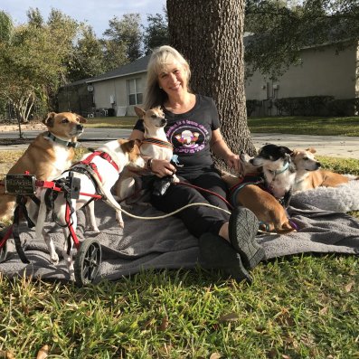 dogs-special-needs-rescue-rescue-dogs